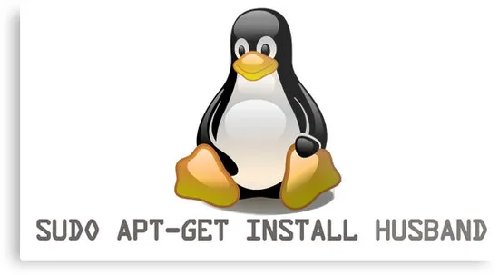 how-to-install-husband