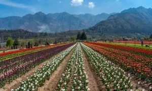 Understand The Real Issue Of Kashmir