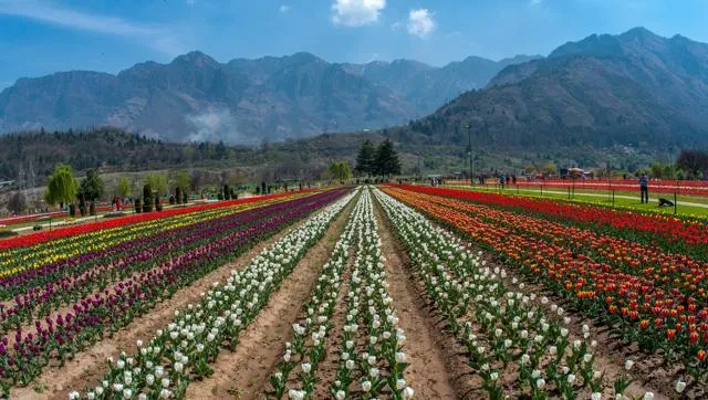 understand-the-real-issue-of-kashmir