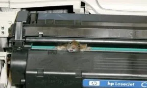 Printer Mouse