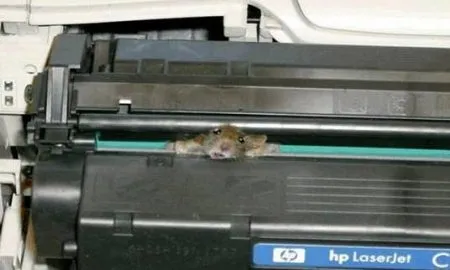 Printer Mouse