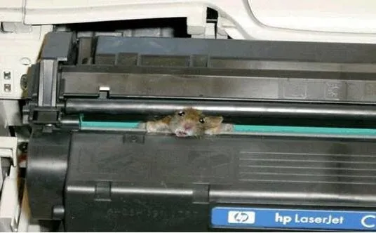 printer-mouse
