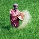 Fertilizer Subsidy