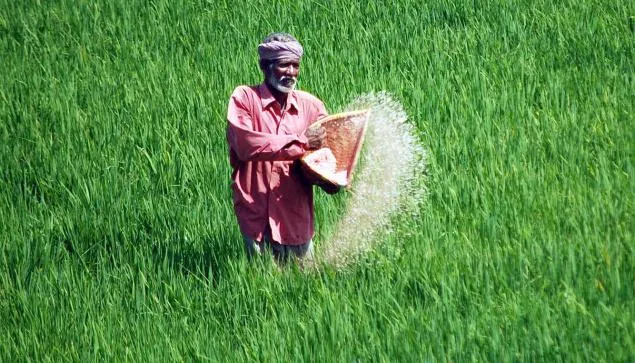 fertilizer-subsidy