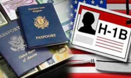 IT Industry Visa Us Visa