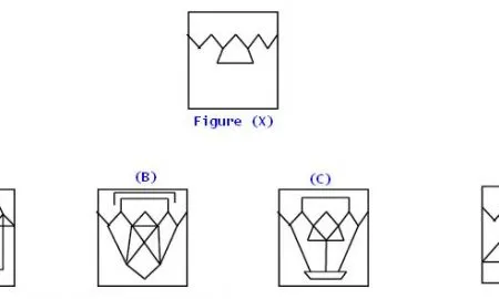 Mental Aptitude Test