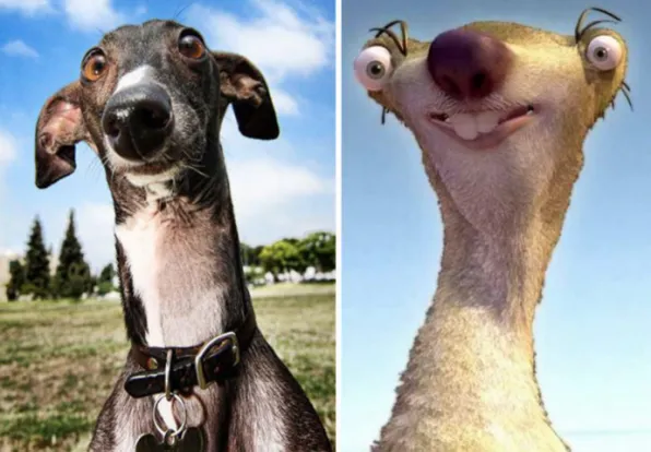 people-who-look-like-cartoon-characters-9