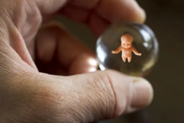 human-life