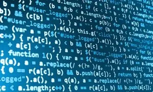 Millennia Year Application Software System