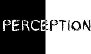 Perception