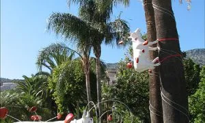 Cow Climbing The Tree