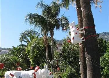 Cow Climbing The Tree