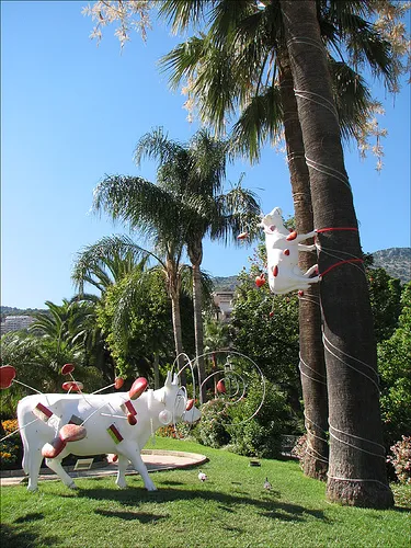 Cow climbing the tree