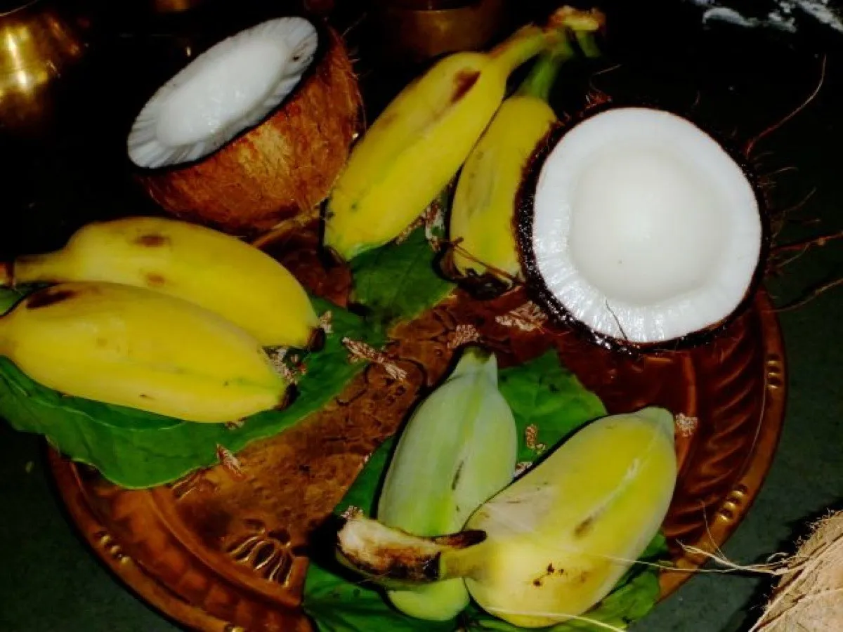 Coconut and Banana are offered in the temples