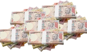 Indian Rupees Bundle