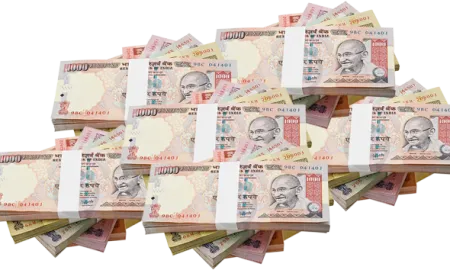 Indian Rupees Bundle