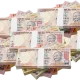 Indian Rupees Bundle