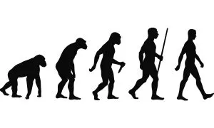 Evolution Of Man