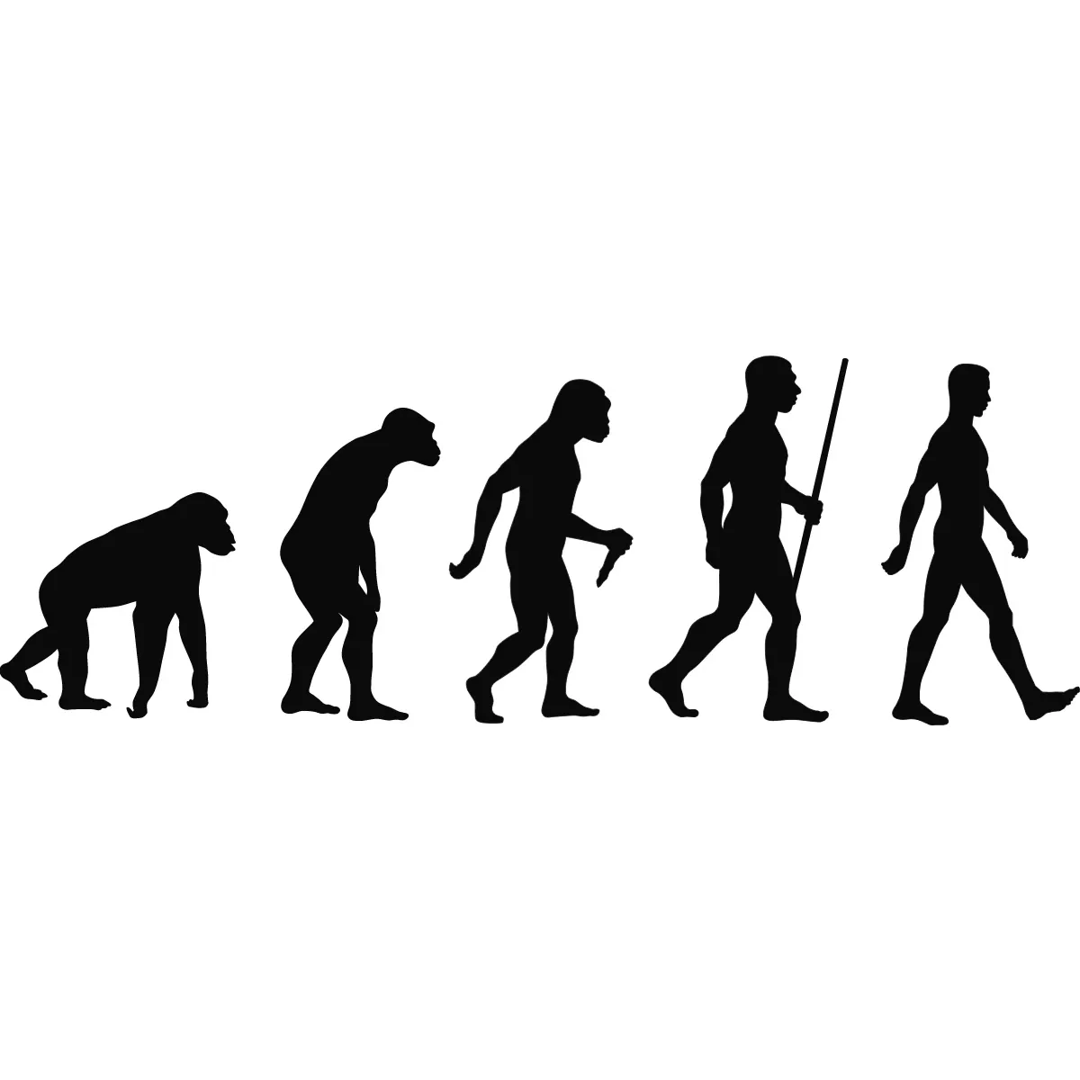 evolution of man