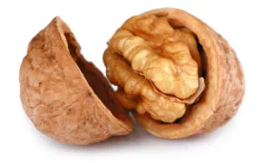 Lessons On Corporate Management In A Nutshell