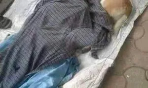 Ee9ccb64 Fbd3 4416 Aa02 Df642bf6cb4a