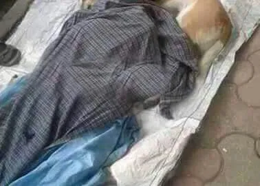 Ee9ccb64 Fbd3 4416 Aa02 Df642bf6cb4a