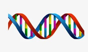 Death Will Be Optional By The Year 2045