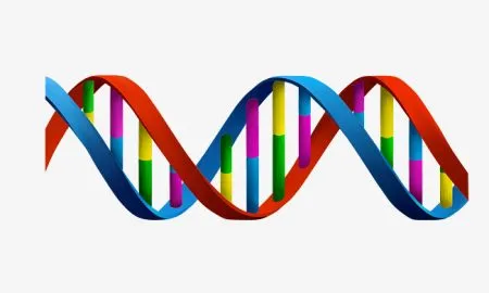 Death Will Be Optional By The Year 2045