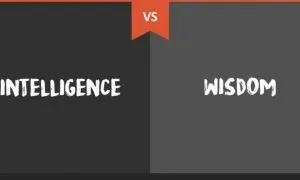 Intelligence Wisdom