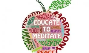 Educate To Meditate
