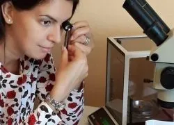 Pressrelease 432613 1536898334