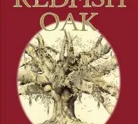 49ab6f2014db0e825b0ec6c65248fa19