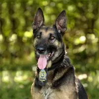 E723be08a0c0257c14a6339478b4a907 1