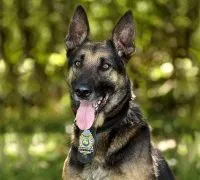 E723be08a0c0257c14a6339478b4a907