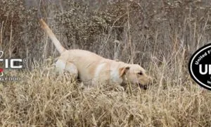 0cccc58641c900ecf35954991708f7b5