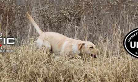 0cccc58641c900ecf35954991708f7b5