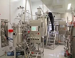 pressrelease_332830_1548847103