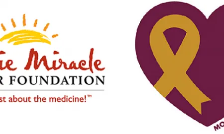 7dc82c56b752e4013546d234a856c6d6