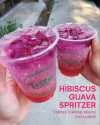 149a4a4c16a5502d65b1885c649dfe92_rsz_1tastea_exclusive-01.jpg.ico