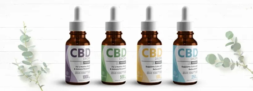 cdc9d2896f8c2eba36c7ad14bc3f0adf