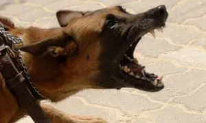 Df154434331de018e016d76436cfd21e