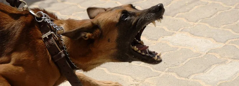 df154434331de018e016d76436cfd21e