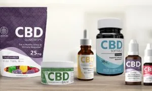 29dfb396f94f5704af3b13c7f8b752af