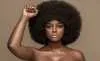 4c14af2905953f462231df9ed452ffe5_PR-Amara-la-Negra.jpg.ico