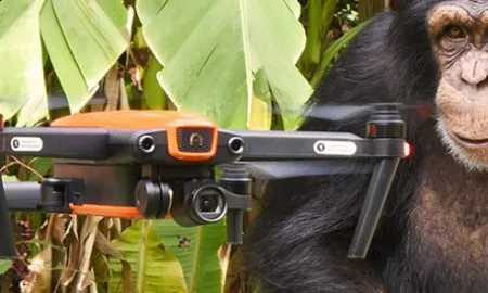 E5e2e25248d0892305ee7a81e31ba668