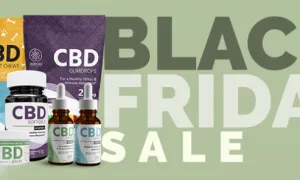 D24cef92a59a037ca13442b852e64bff