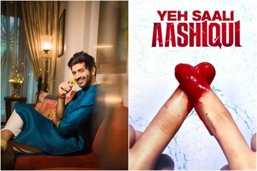 Yeh Saali Aashiqui