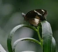 Pressrelease 428451 1581640972