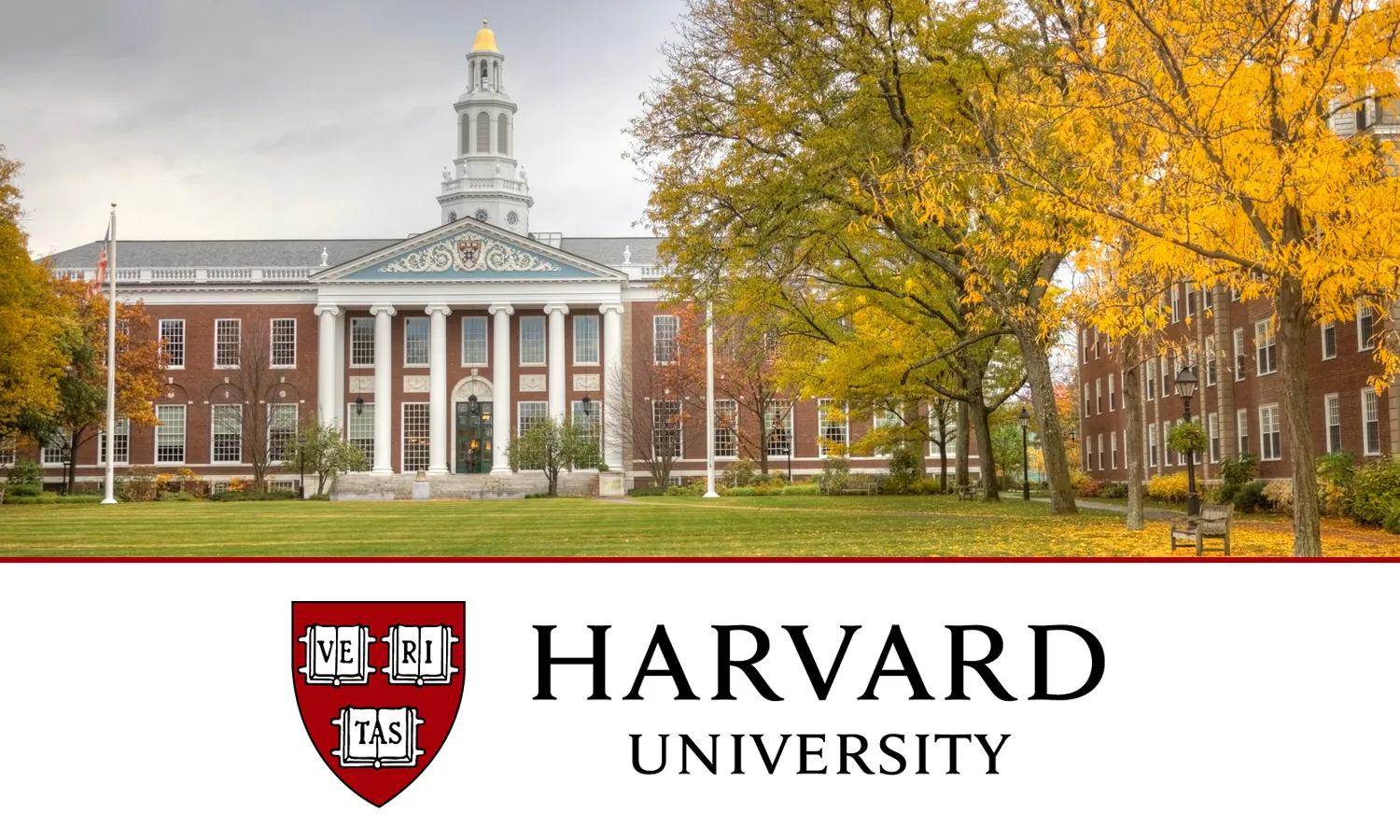 Harvard University