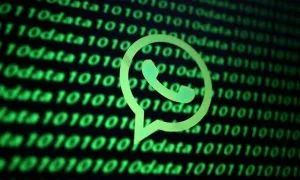 Whatsapp Info Regarding Ticks